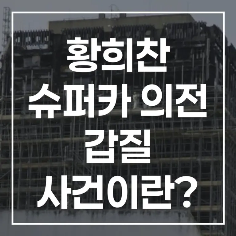 황희찬 슈퍼카 의전 갑질 영동대교 페라리 분쟁 정리