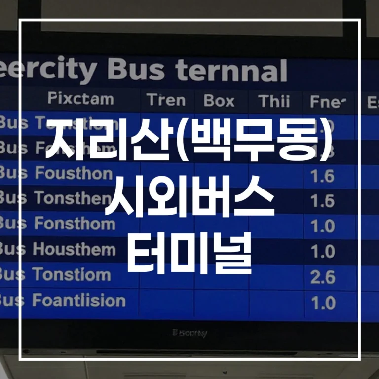 2026 설날 지리산(백무동) 시외버스 터미널 귀경길 완벽 정복