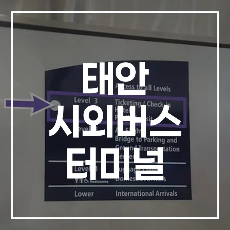 태안 시외버스 터미널 2026 설날: 예매, 시간표, 맛집 완벽 가이드