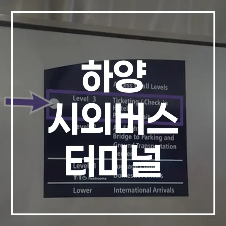 하양 시외버스 터미널 설날 귀성길 완벽 정복 (2026 최신)