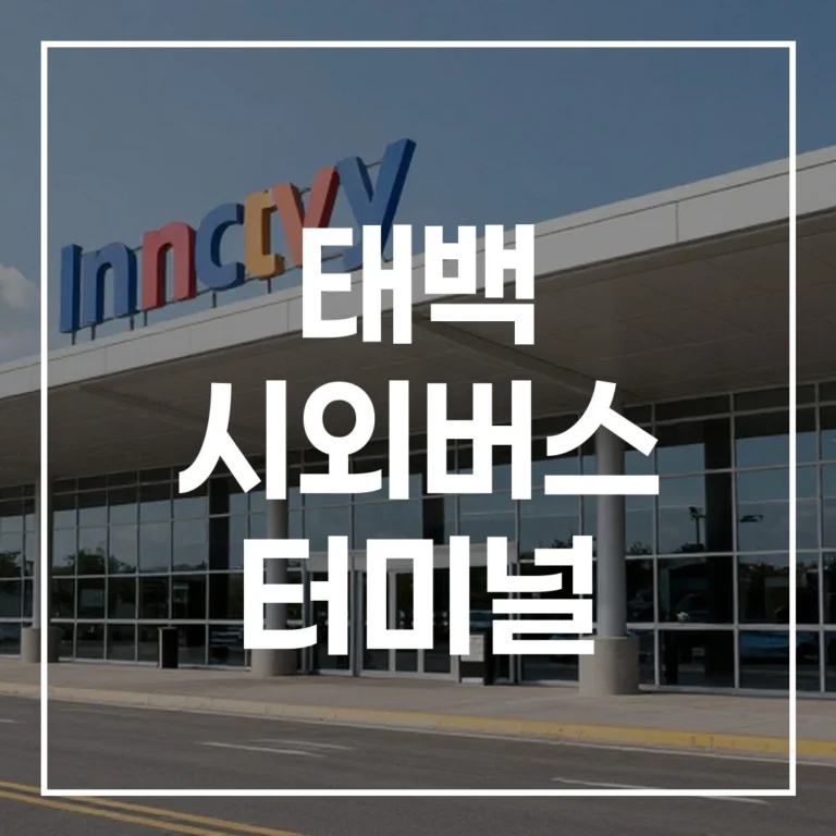 태백 시외버스 터미널 설날: 예매, 시간표, 맛집, 주차 끝!