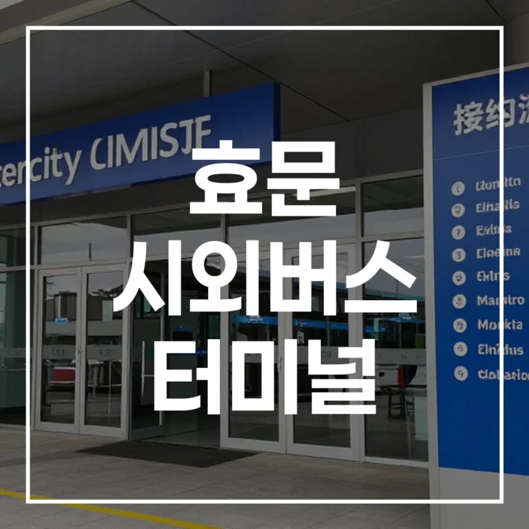 효문 시외버스 터미널 2026 설날 완벽 가이드 (예매, 시간표)