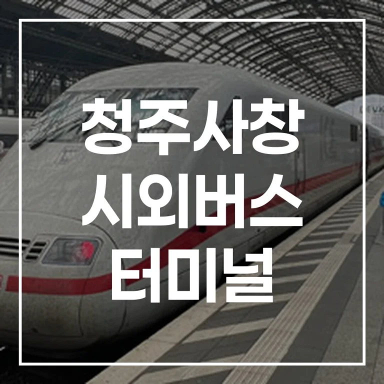 2026년 설날 청주사창 시외버스 터미널: 예매, 시간표, 맛집 정복
