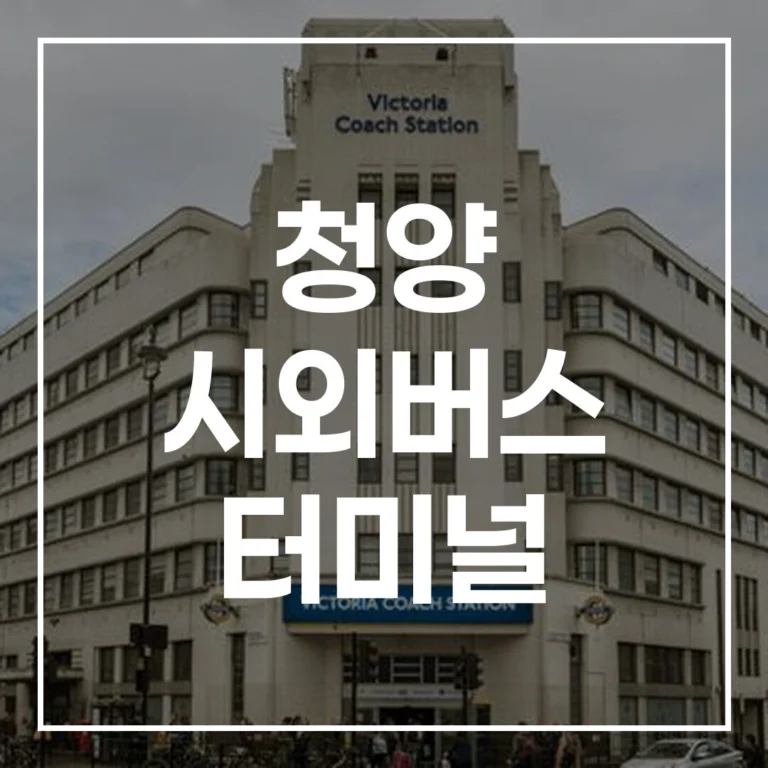 청양 시외버스 터미널 설날 예매 전쟁, 시간표부터 맛집까지 완벽 정복!