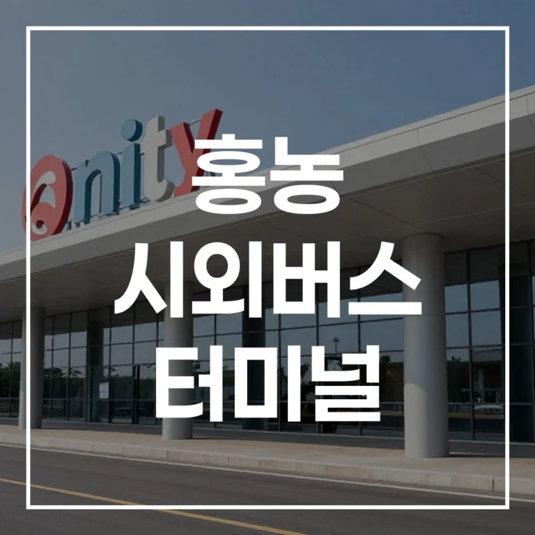 홍농 시외버스 터미널 2026년 설날 예매·시간표·노선 총정리