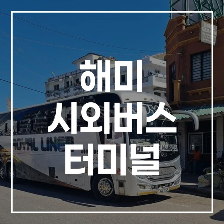 2026 설날 해미 시외버스 터미널: 예매, 시간표, 주차, 맛집 총정리