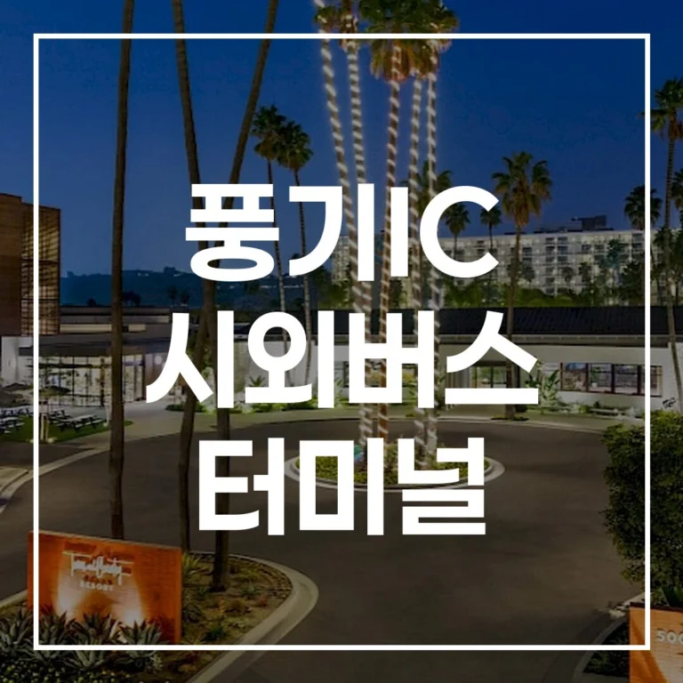 풍기IC 시외버스 터미널: 2026 설 완벽 귀경 전략 (예매/시간표)