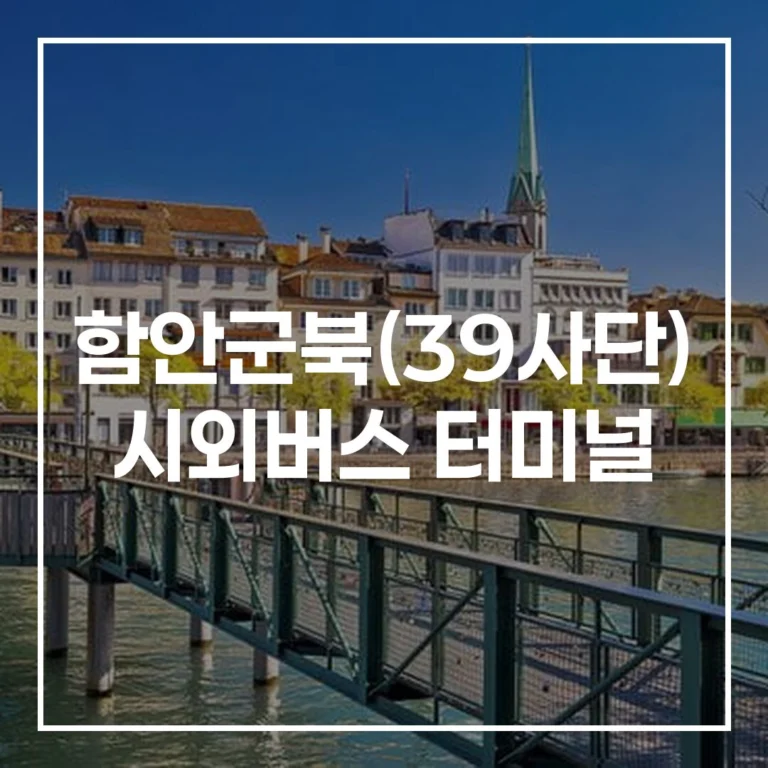 함안군북(39사단) 시외버스 터미널 설날 명절 예매 시간표 완벽 가이드