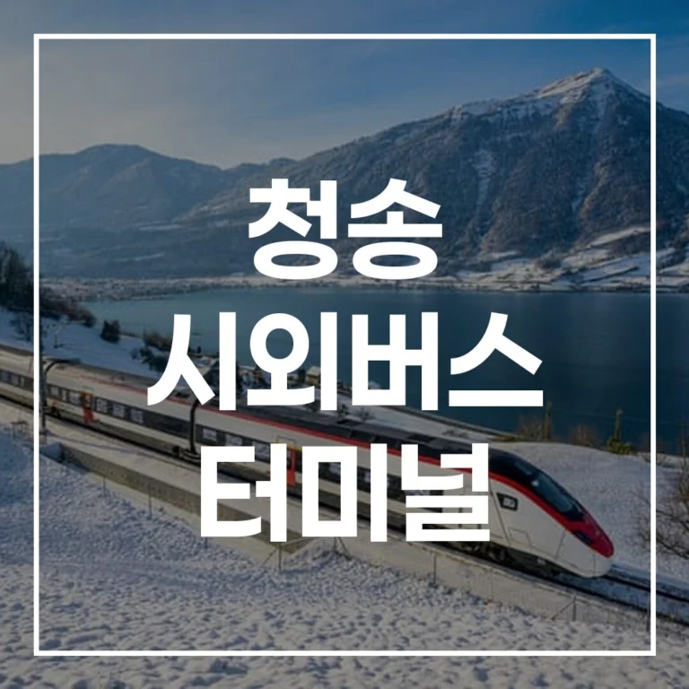 청송 시외버스 터미널 설날 예매 시간표 주차 맛집 총정리