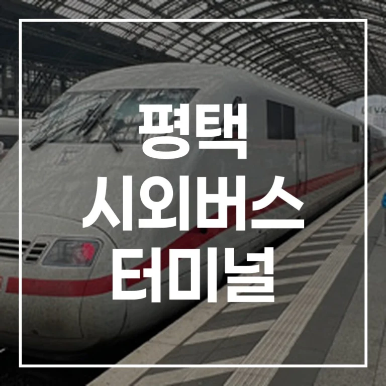 평택 시외버스 터미널: 2026 설날 예매·시간표·꿀팁 총정리