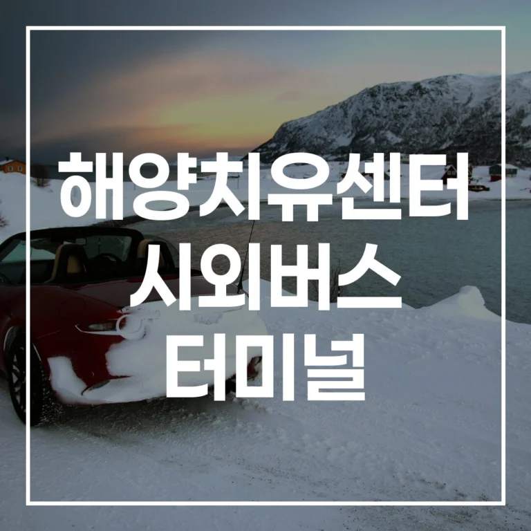 해양치유센터 시외버스 터미널 설날 귀경길 완벽 가이드 (예매, 시간표)