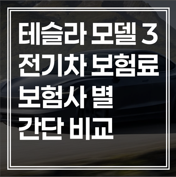 삼성보다 DB가 싸다? 테슬라 모델 3 보험 가입 전 모르면 40만 원 손해