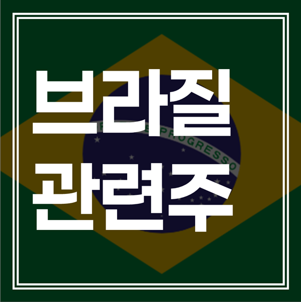 브라질 관련주 TOP 5: 희토류 리튬 공급망 및 곡물 테마 대장주 총정리