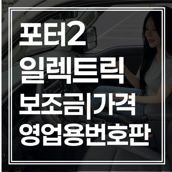 2026 포터2 일렉트릭 보조금｜영업용 번호판 신규 발급 비용 (+서류 다운)