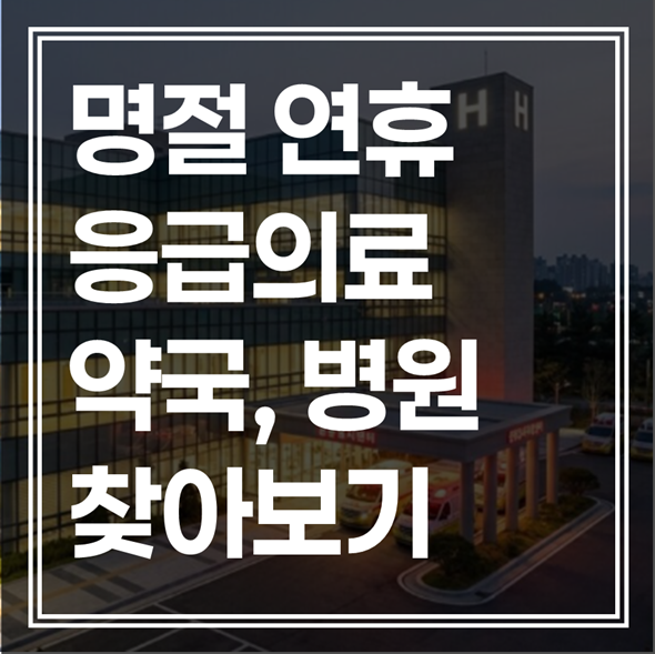 설날 아이가 열날 때 당황하지 마세요! 경기도 달빛어린이병원&심야약국 리스트