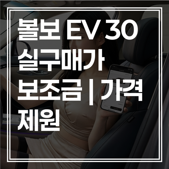 2026 볼보 EV30