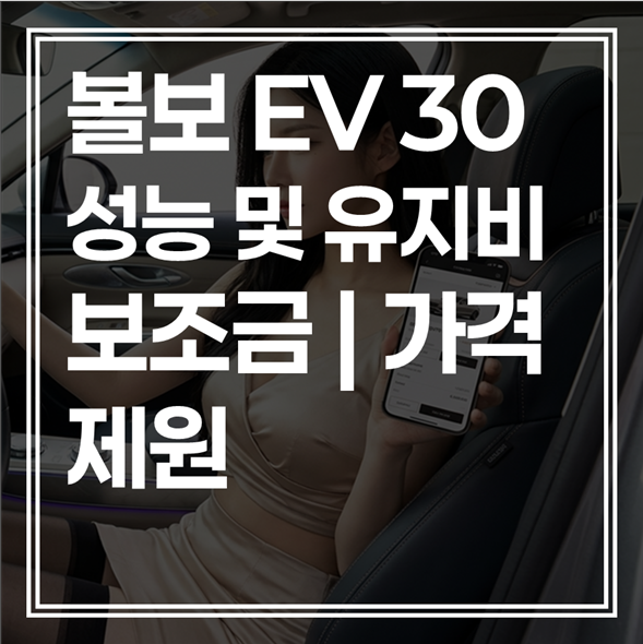 2026 볼보 EX30 가격 제원|성능 및 유지비 요약 (+최저가 좌표)