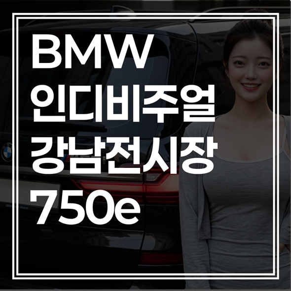 BMW 인디비주얼