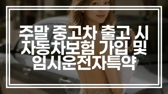 주말 중고차 출고 시 자동차보험 주말 가입 및 임시운전자특약 신청 방법